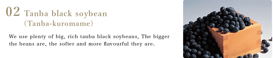 Tanba black soybean